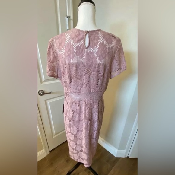 Lace Dress - Picture 2 of 8